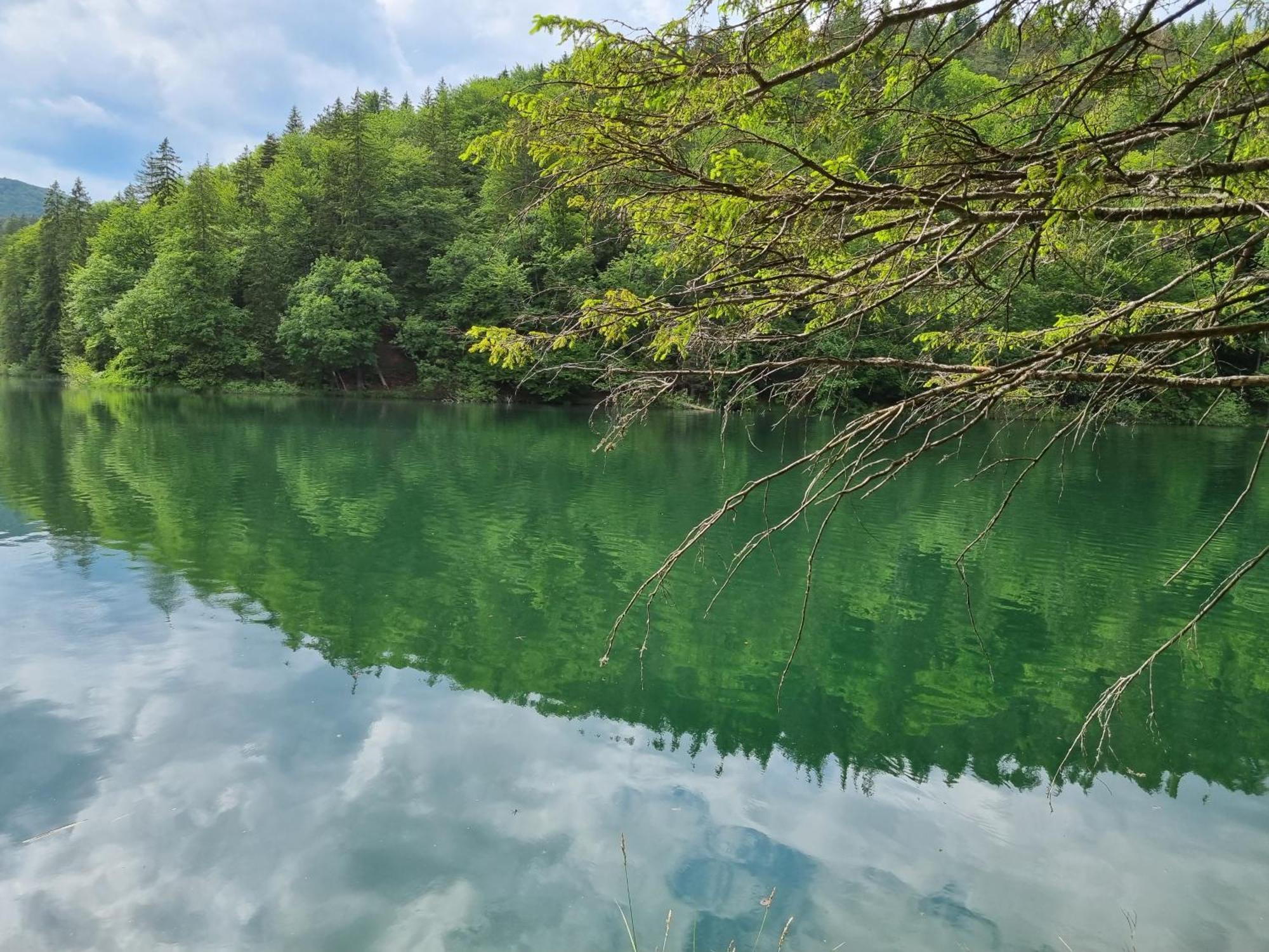 Villa Lady Di Plitvice Vrhovine Luaran gambar